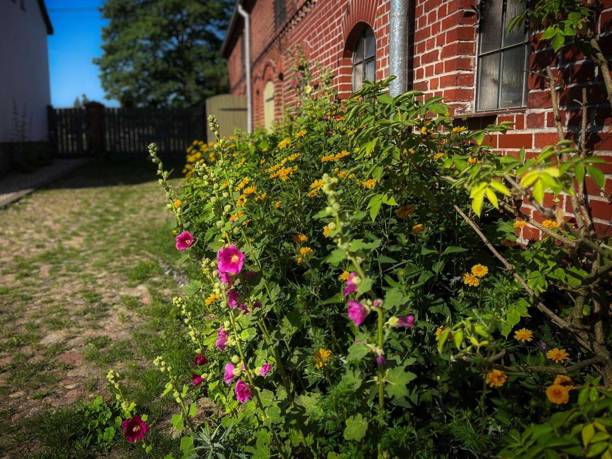 Farma Jamienko Pension Buitenkant foto